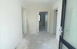 Apartament nemobilat pretabil pentru birou, zona Dianei Faget