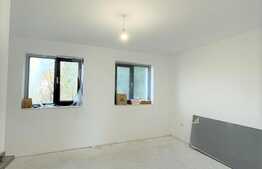 Apartament nemobilat pretabil pentru birou, zona Dianei Faget