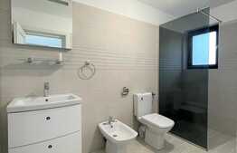 Apartament nemobilat pretabil pentru birou, zona Dianei Faget