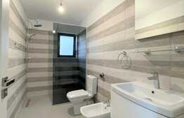 Apartament nemobilat pretabil pentru birou, zona Dianei Faget