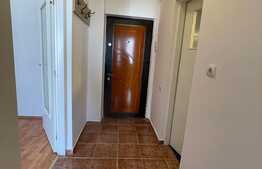 Apartament cu 1 camera, 42 mp, zona strazii Dunarii