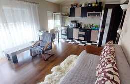 Apartament 2 camere, 50 mp, semidecomandat, zona Porii