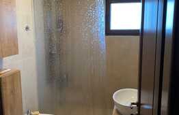 Casă individulă 186mp utili, 409mp teren, garaj, Dezmir