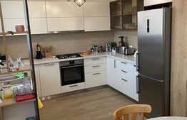 Casă individulă 186mp utili, 409mp teren, garaj, Dezmir