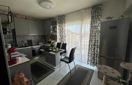 Apartament 2 camere, decomandat, 47 mp, zona Porii