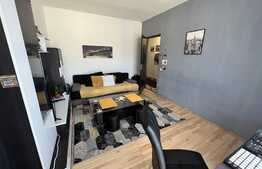 Apartament 2 camere, decomandat, 47 mp, zona Porii