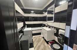 Apartament 2 camere, decomandat, 47 mp, zona Porii