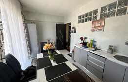 Apartament 2 camere, decomandat, 47 mp, zona Porii