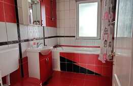 Apartament 2 camere, 52 mp, gradina 32 mp, zona Eroilor!