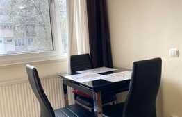 Garsoniera moderna, prima inchiriere, cheltuieli mici, zona Mcdonald's