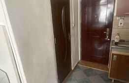 Garsoniera 18 mp, etaj intermediar, zona Bulevardului Muncii