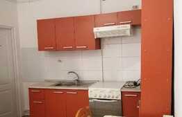 Garsoniera de 40 mp, loc de parcare, zona USAMV