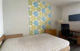 Garsoniera, decomandat, pet friendly, zona Big