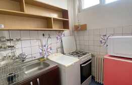 Garsoniera, decomandat, pet friendly, zona Big