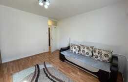 Garsoniera recent renovata, 30mp, zona Centrala