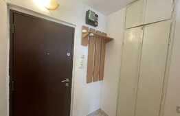 Garsoniera recent renovata, 30mp, zona Centrala