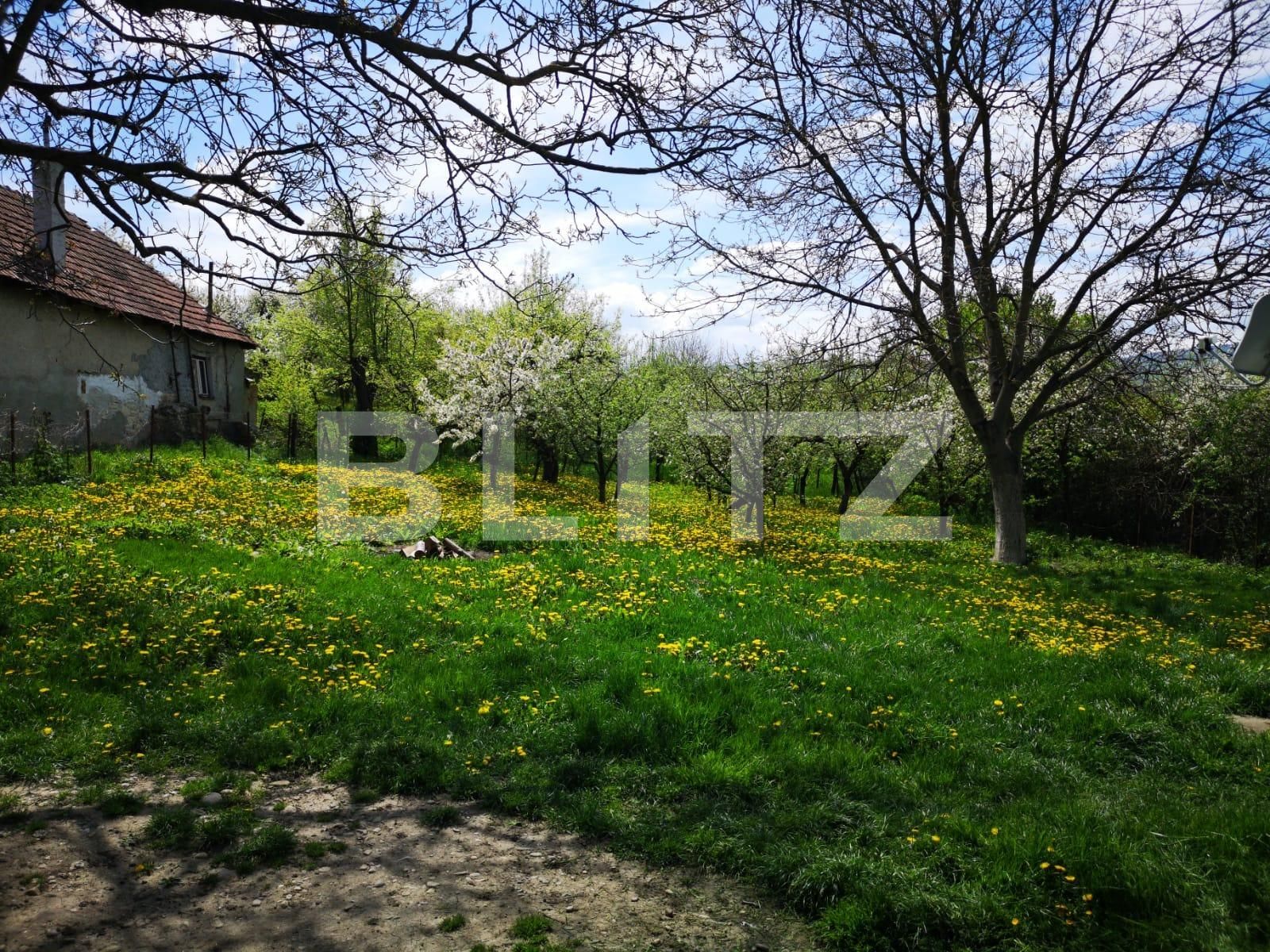 Teren de vânzare Sopor - 84976TV | BLITZ Cluj-Napoca | Poza2