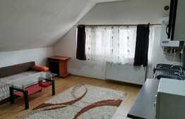 Apartament primitor, 2 camere, 40 mp, zona Oasului