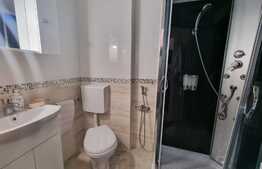 Apartament 2 camere, 75 mp, gradina, boxa, zona Marasti