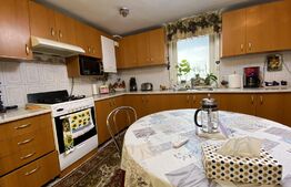 Casa individuala cu 2 intrari: 130 mp utili, 700 mp teren, zona linistita, Apahida