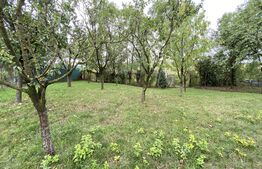 Casa individuala cu 2 intrari: 130 mp utili, 700 mp teren, zona linistita, Apahida