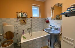 Casa individuala cu 2 intrari: 130 mp utili, 700 mp teren, zona linistita, Apahida