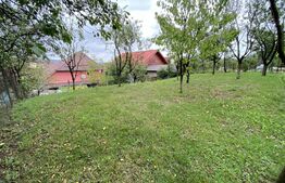 Casa individuala cu 2 intrari: 130 mp utili, 700 mp teren, zona linistita, Apahida