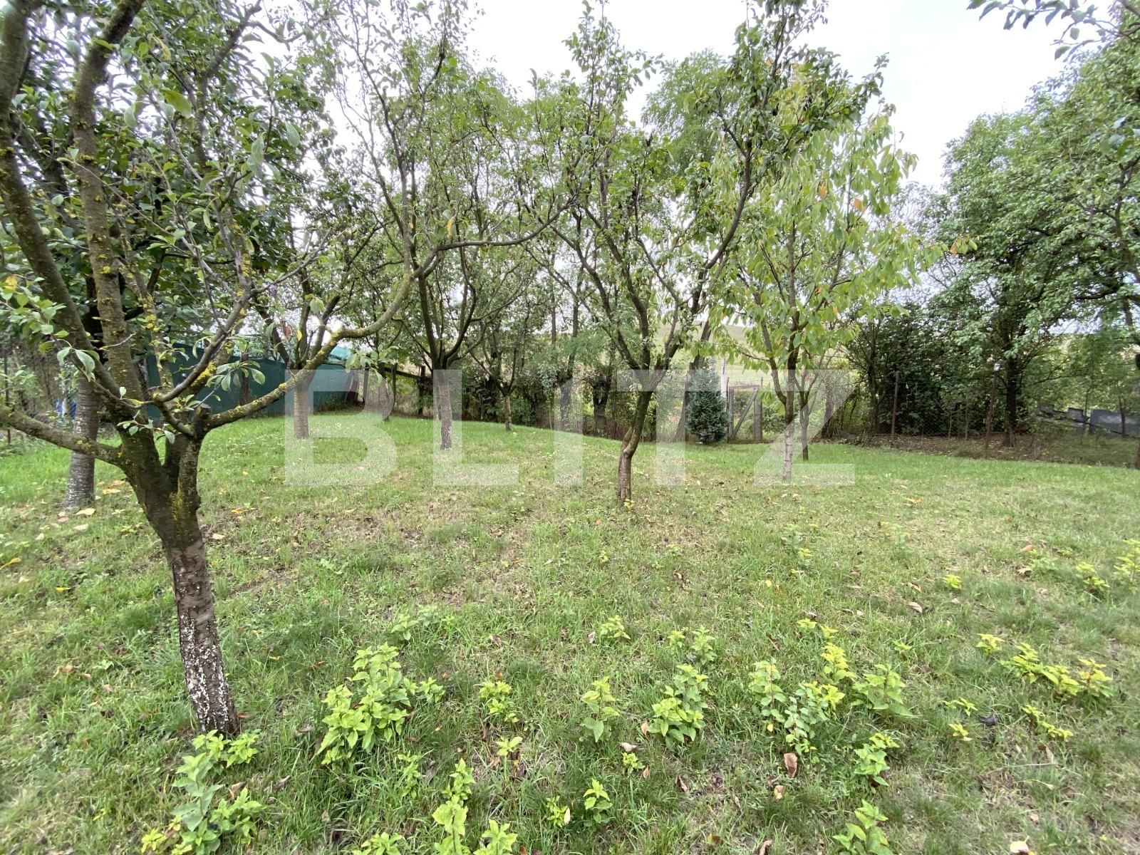 Casa de vânzare 6 camere Apahida - 85040CV | BLITZ Cluj-Napoca | Poza4