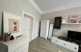 Garsoniera spatioasa, 43 mp, lux, curte, zona strazii Bucuresti