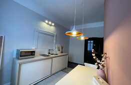 Garsoniera spatioasa, 43 mp, lux, curte, zona strazii Bucuresti