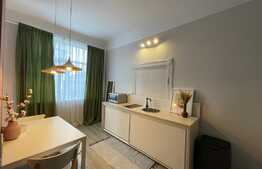 Garsoniera spatioasa, 43 mp, lux, curte, zona strazii Bucuresti