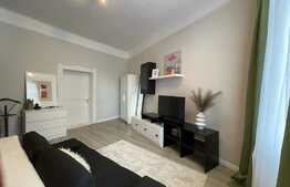 Garsoniera spatioasa, 43 mp, lux, curte, zona strazii Bucuresti