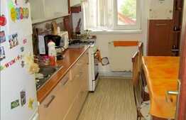 Apartament 3 camere de vanzare, 63 mp utili, zona Campului, cu parcare si boxa