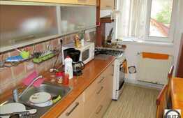 Apartament 3 camere de vanzare, 63 mp utili, zona Campului, cu parcare si boxa