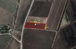 Teren 10.000mp, Calea Feldioarei