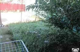 Inchiriere 1 camera, 37 mp, zona Avram Iancu! Gradina de 35 mp! Parcare!