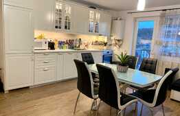 Apartament modern, 2 camere, 55mp, parcare, zona Corneliu Coposu