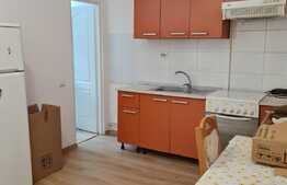 Apartament 1 camera, 42 mp, zona USAMV