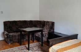 Apartament 1 camera, 42 mp, zona USAMV