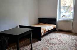 Apartament 1 camera, 42 mp, zona USAMV