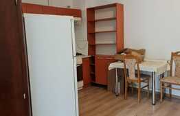 Apartament 1 camera, 42 mp, zona USAMV
