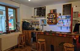 Oportunitate afacere! Casa individuala, 400mp, zona Centrala