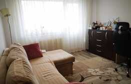 Apartament 2 camere, mobilat, etaj intermediar, balcon, zona Gemenii