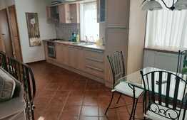 Apartament deosebit, 3 camere, 96 mp, 2 bai, zona Brancusi 