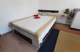 Garsoniera de 20 mp, pet friendly, zona Expo Transilvania 