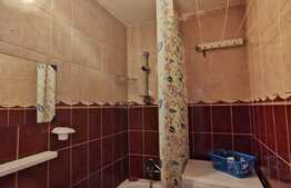 Garsoniera de 20 mp, pet friendly, zona Expo Transilvania 