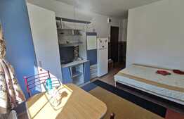 Garsoniera de 20 mp, pet friendly, zona Expo Transilvania 