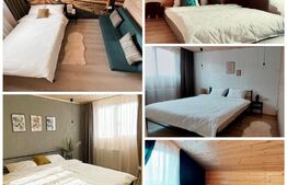 Proprietate deosebita, cabana in stil scandinav, 250 mp utili, Belis