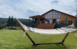 Proprietate deosebita, cabana in stil scandinav, 250 mp utili, Belis