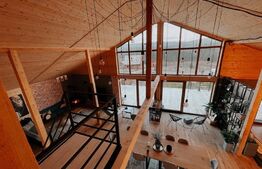 Proprietate deosebita, cabana in stil scandinav, 250 mp utili, Belis